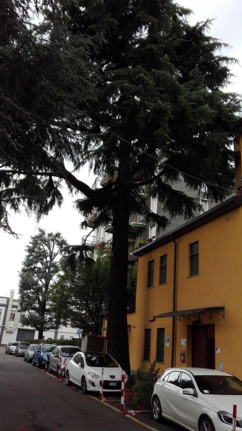 Residence Il Pino サロンノ エクステリア 写真
